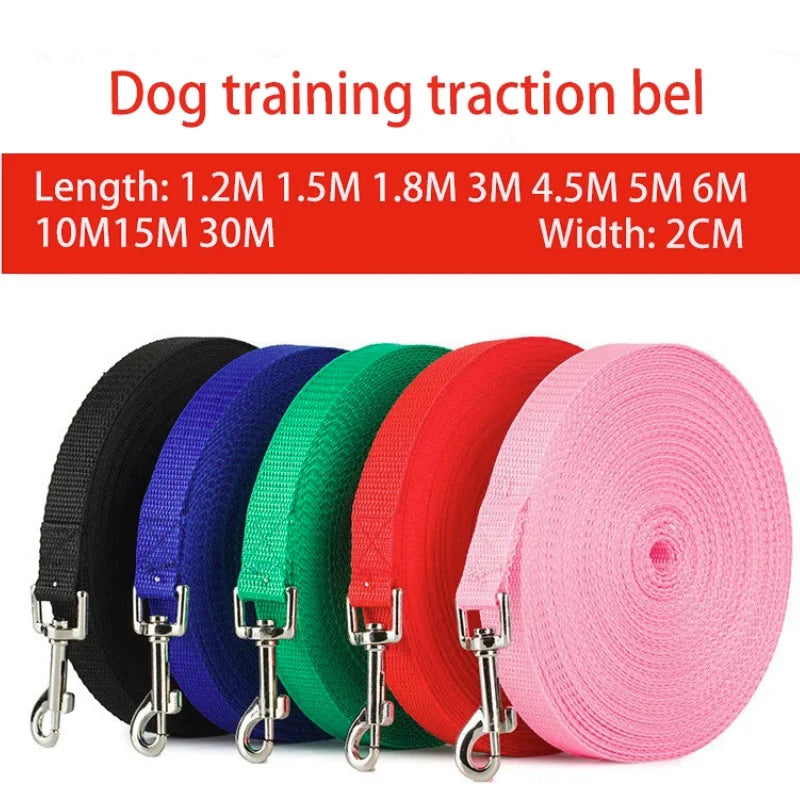 Heavy-Duty Nylon Dog Leash