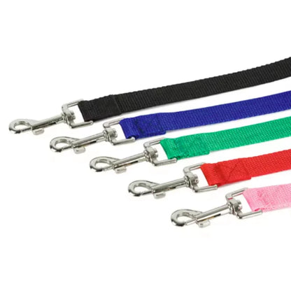 Heavy-Duty Nylon Dog Leash