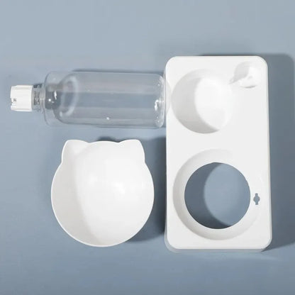 Ergonomic Tilted Pet Bowl